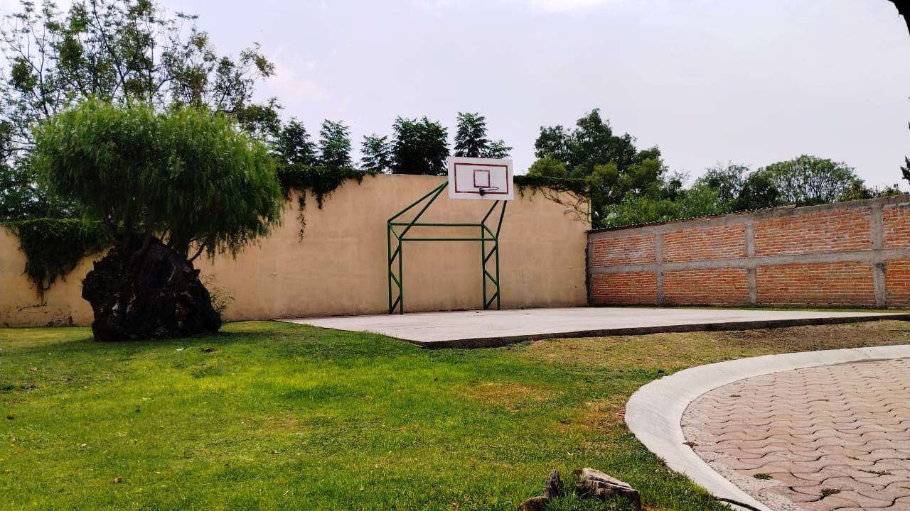 Alberca y cafetería en la planta superior